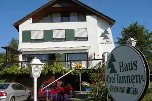 Haus Drei Tannen image