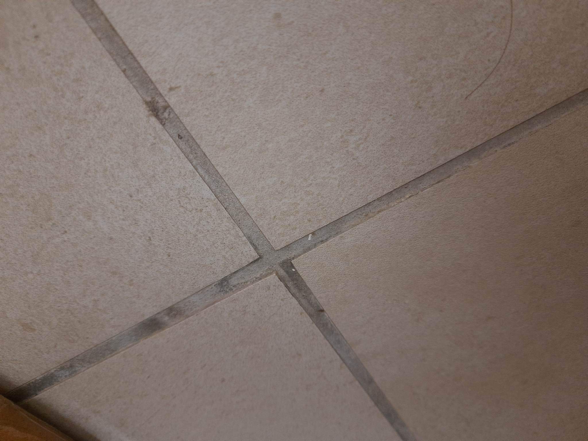 Photo n° 2 de l'avis de Houda.A fait le 11/02/2023 à 20:53