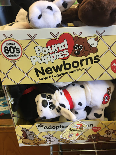 Toy Store «Timbuk Toys Highlands Ranch», reviews and photos, 9315 Dorchester St #107, Highlands Ranch, CO 80129, USA