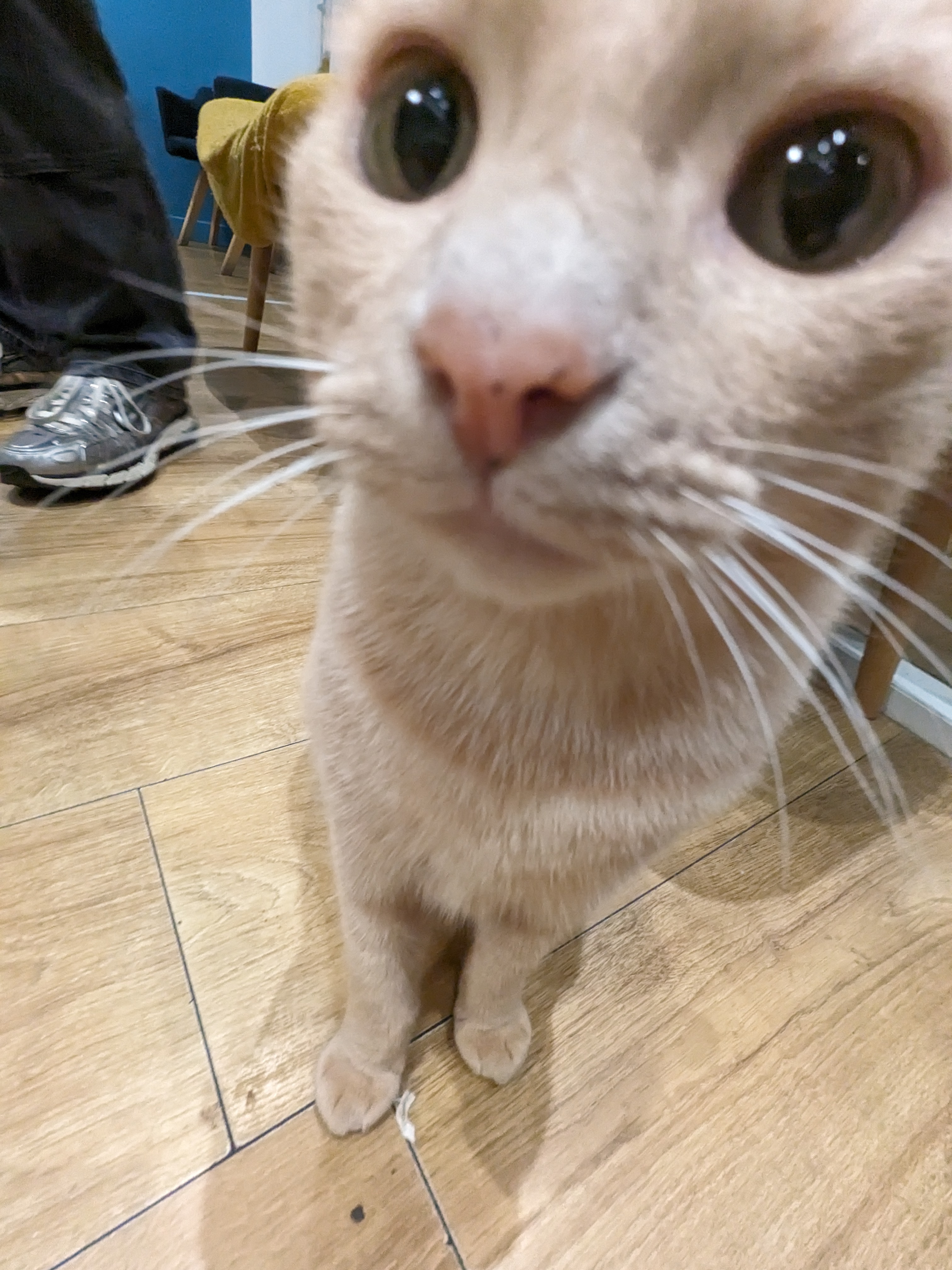 Photo n° 6 de l'avis de lulu. fait le 20/11/2023 à 17:12