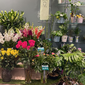 Le Jardin des fleurs à Langon