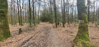 Forêt de Loudéac - Place des Marionnettes à La Motte