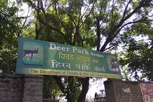Deer Park Neelon image