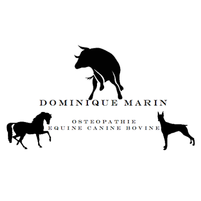 Marin Dominique - Kinésithérapeute Ostéopathe et Ostéopathe equin, canin & bovin à Nîmes