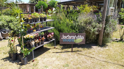 Vivero Jacarandaa