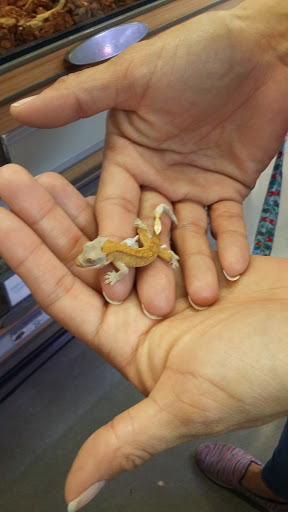 Pet Supply Store «Petco Animal Supplies», reviews and photos, 233 S Stewart Rd, Liberty, MO 64068, USA