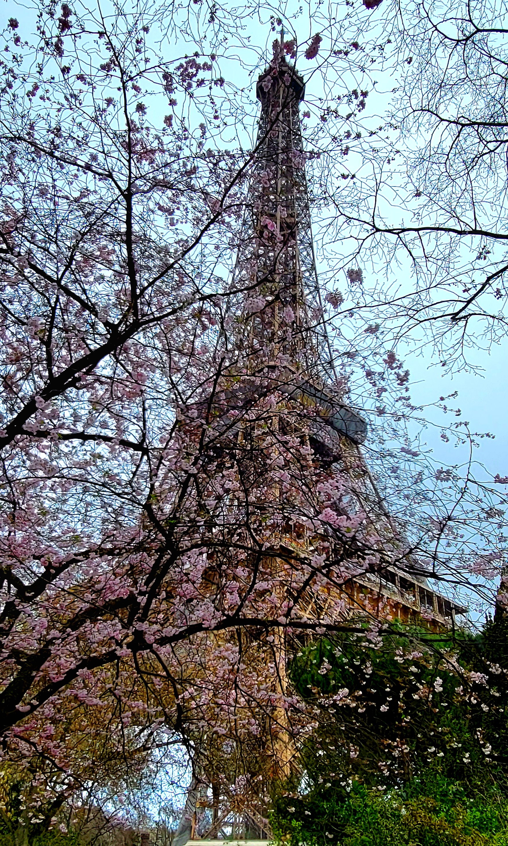 Photo n° 4 de l'avis de Michelle.i fait le 01/04/2023 à 15:23