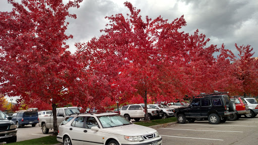 Tennis Court «Aspen Golf & Tennis Club», reviews and photos, Truscott Pl, Aspen, CO 81611, USA