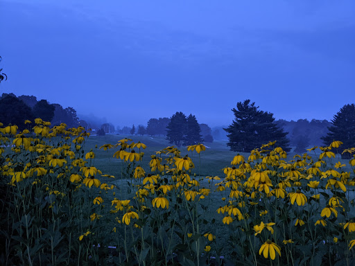 Golf Club «Neshobe Golf Club», reviews and photos, 224 Town Farm Rd, Brandon, VT 05733, USA