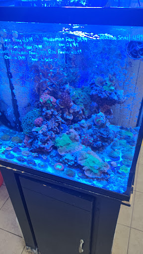 Tropical Fish Store «Ocean Design Aquarium», reviews and photos, 7542 W Addison St, Chicago, IL 60634, USA