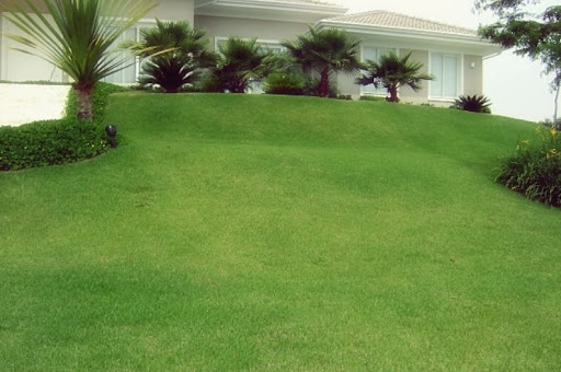 Logo da empresa - Disk Jardinagem
