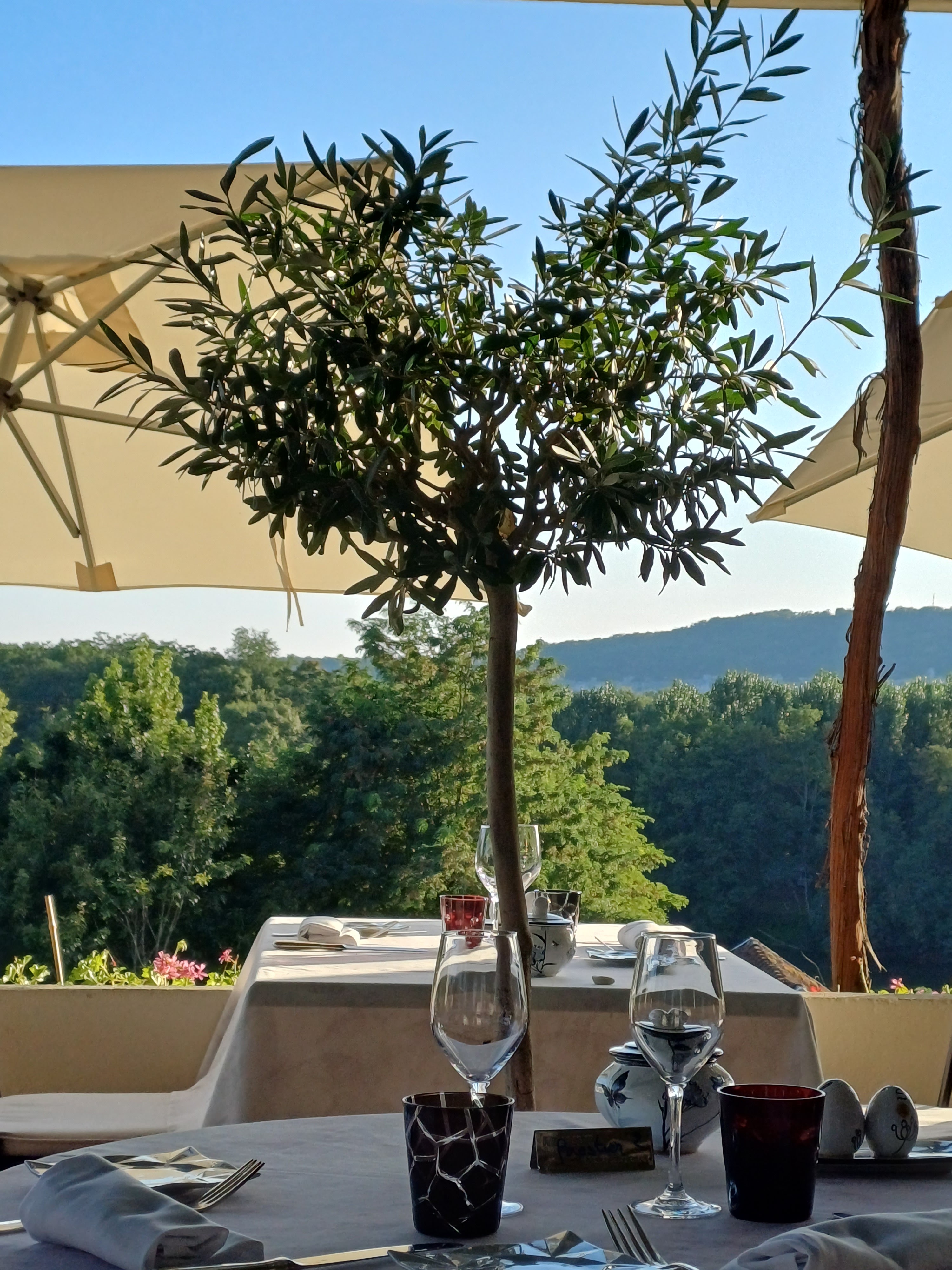 Photo n° 11 de l'avis de Louise.H fait le 21/08/2023 à 14:32