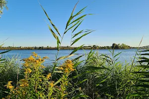 Natuurbezoekerscentrum Klein Profijt image