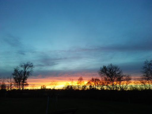 Drive-in Movie Theater «Cinema 67 Drive-in», reviews and photos, 2037 IN-67, Spencer, IN 47460, USA