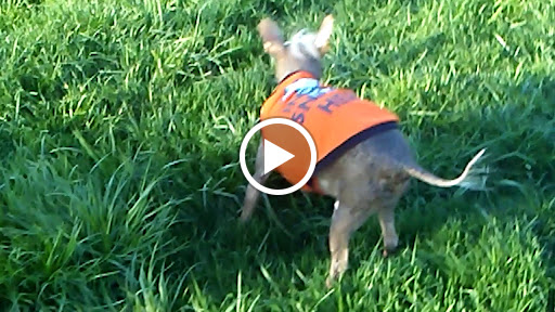 Park «Sargent Park», reviews and photos, 3530 E Douglas Ave, Des Moines, IA 50317, USA