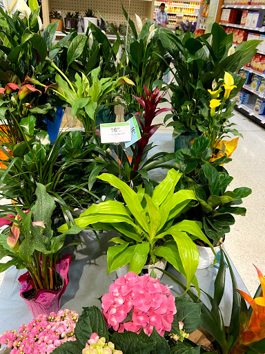 Supermarket «Publix Super Market at Deerwood Village SC», reviews and photos, 9964 Old Baymeadows Rd, Jacksonville, FL 32256, USA