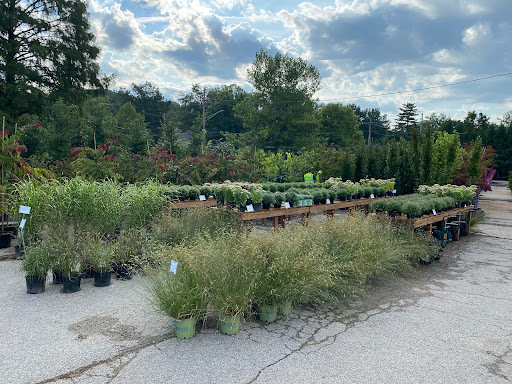 Landscaping Supply Store «Kirkwood Gardens», reviews and photos, 2701 Barrett Station Rd, Ballwin, MO 63021, USA