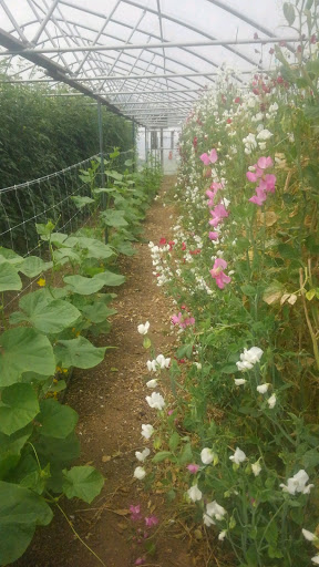 Produce Market «Highland Orchards Farm Market», reviews and photos, 1431 Foulk Rd, Wilmington, DE 19803, USA
