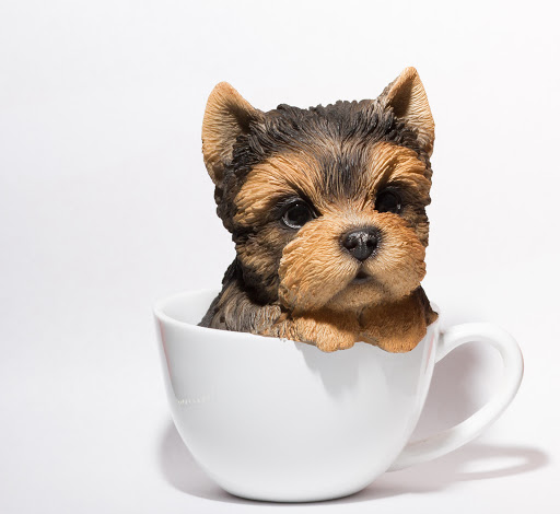 Explore left arm sleeve tattoo ideas, creative tattoo ideas in San Leandro, available at Orbit Skate and Boutique- Skate Shop & Piercing Shop in San Leandro, CA