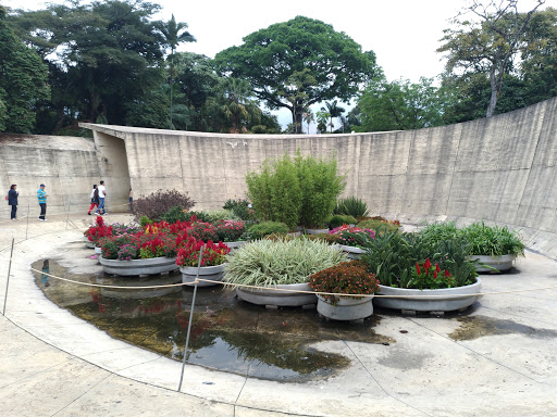Orquideorama Jardín Botánico