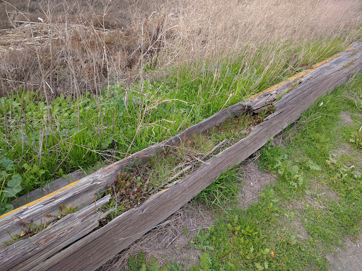 Recreation Center «Shoreline Lake Boathouse», reviews and photos, 3160 N Shoreline Blvd, Mountain View, CA 94043, USA