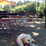 Photo n°2 de l'avis de Sabine.a fait le 28/06/2019 à 18:17 sur le  Waldgaststätte Bahnhof Kottenforst à Meckenheim