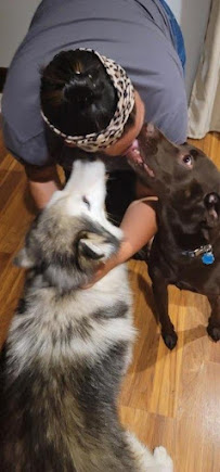 Little Paws Pet Services - Photo 9 - Car repair in Glen Burnie, MD, Baltimore