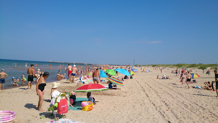 Ventspils zila karoga pludmale
