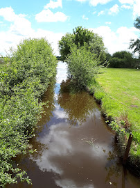 Faune Brièronne : Découverte de la brière en barque ou calèche du Restaurant La Loge Briéronne à Saint-André-des-Eaux - n°1