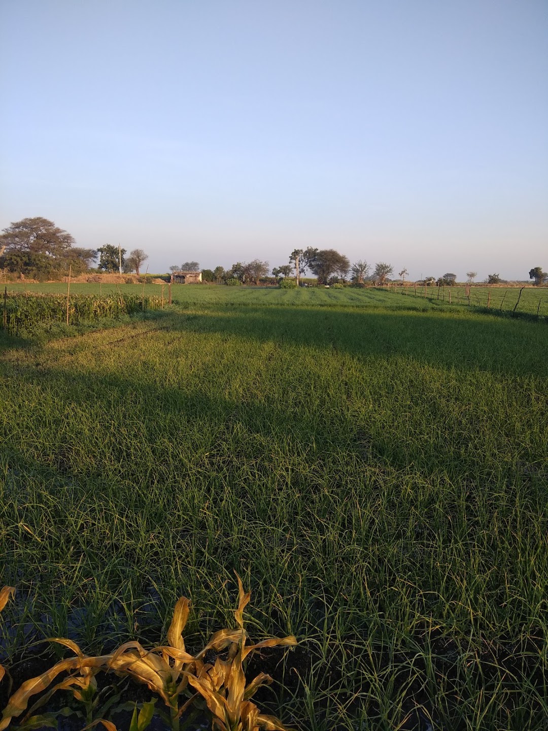 ishwar poltefram