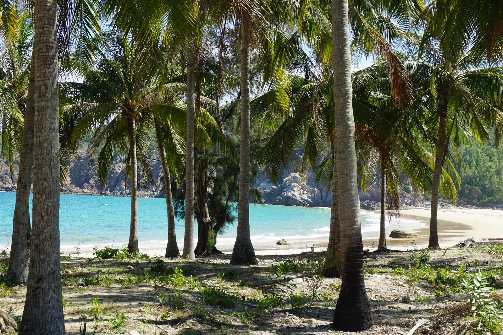 Reef Beach'in fotoğrafı #42 ile birlikte