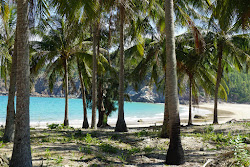 Reef Beach'in fotoğrafı #42 ile birlikte