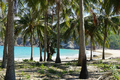 Reef Beach photo #2