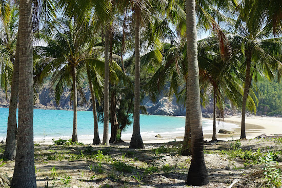 Reef Beach