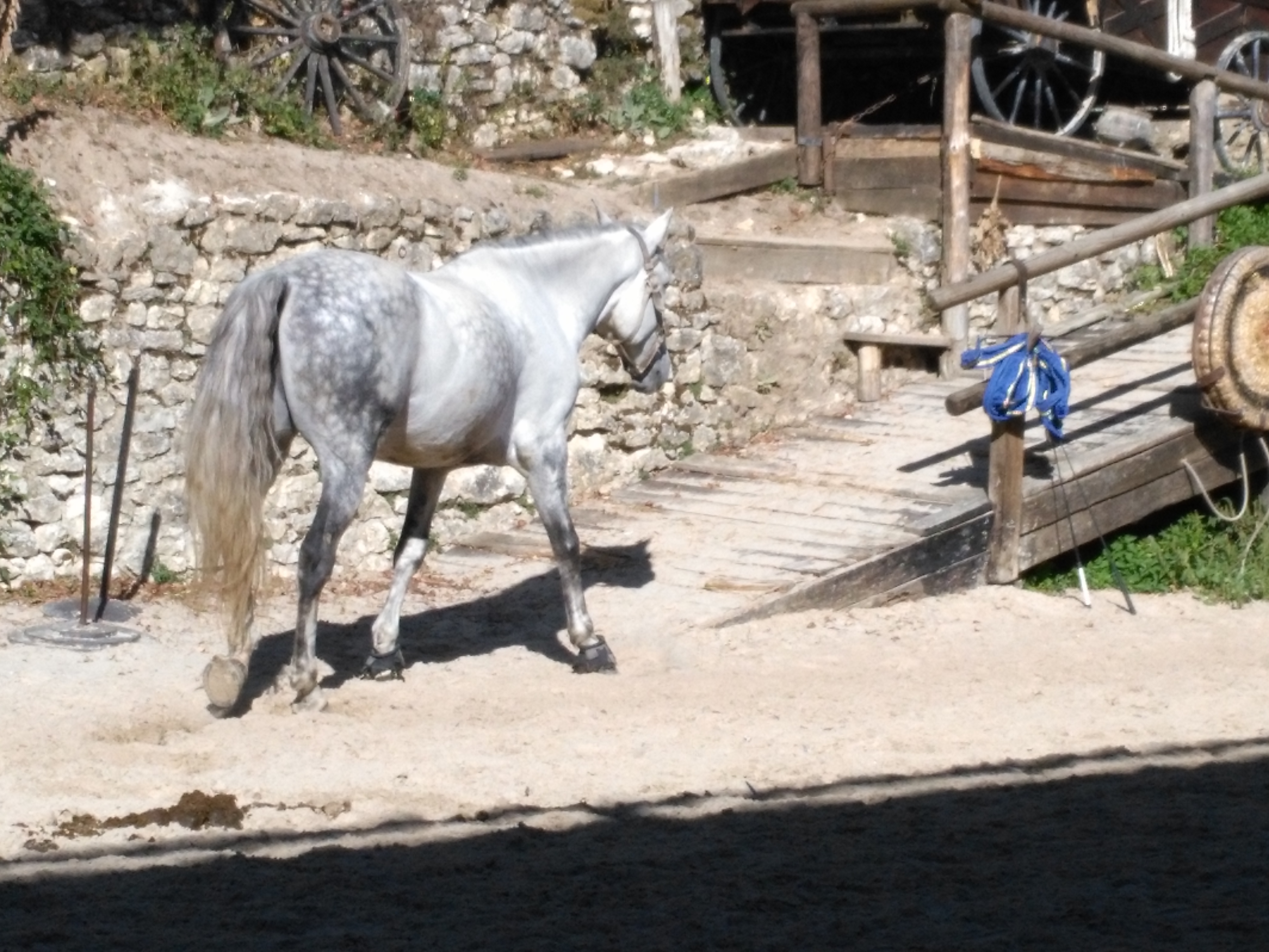 Photo n° 9 de l'avis de serge.e fait le 01/10/2018 à 08:49