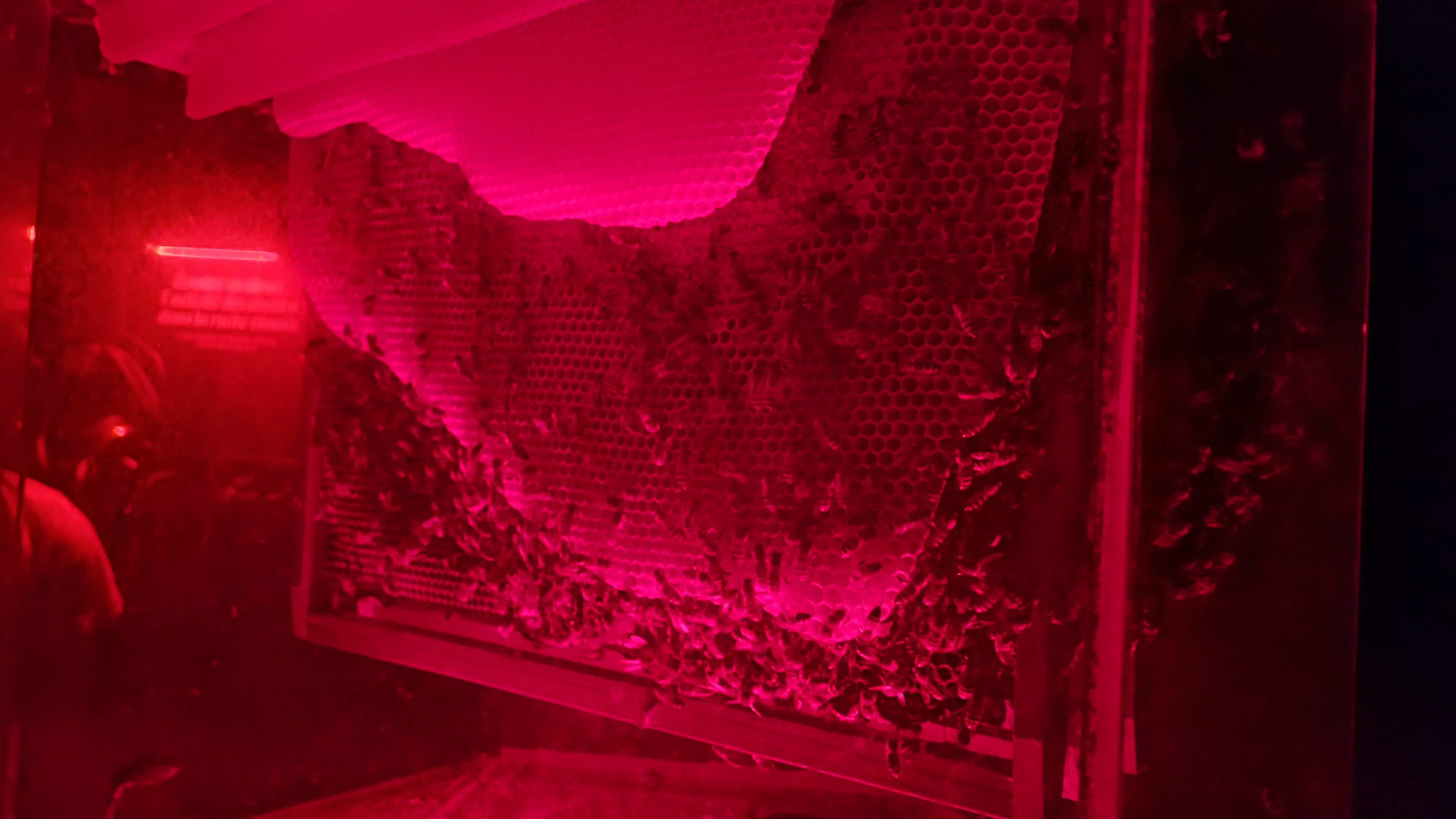 Photo n° 3 de l'avis de Virginie.v fait le 28/07/2022 à 10:06