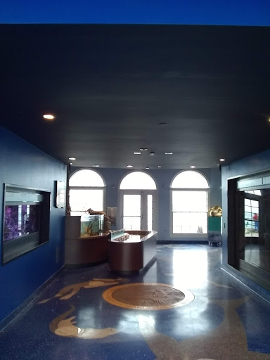 Gym «Planet Fitness», reviews and photos, 20040 Hawthorne Blvd, Torrance, CA 90503, USA