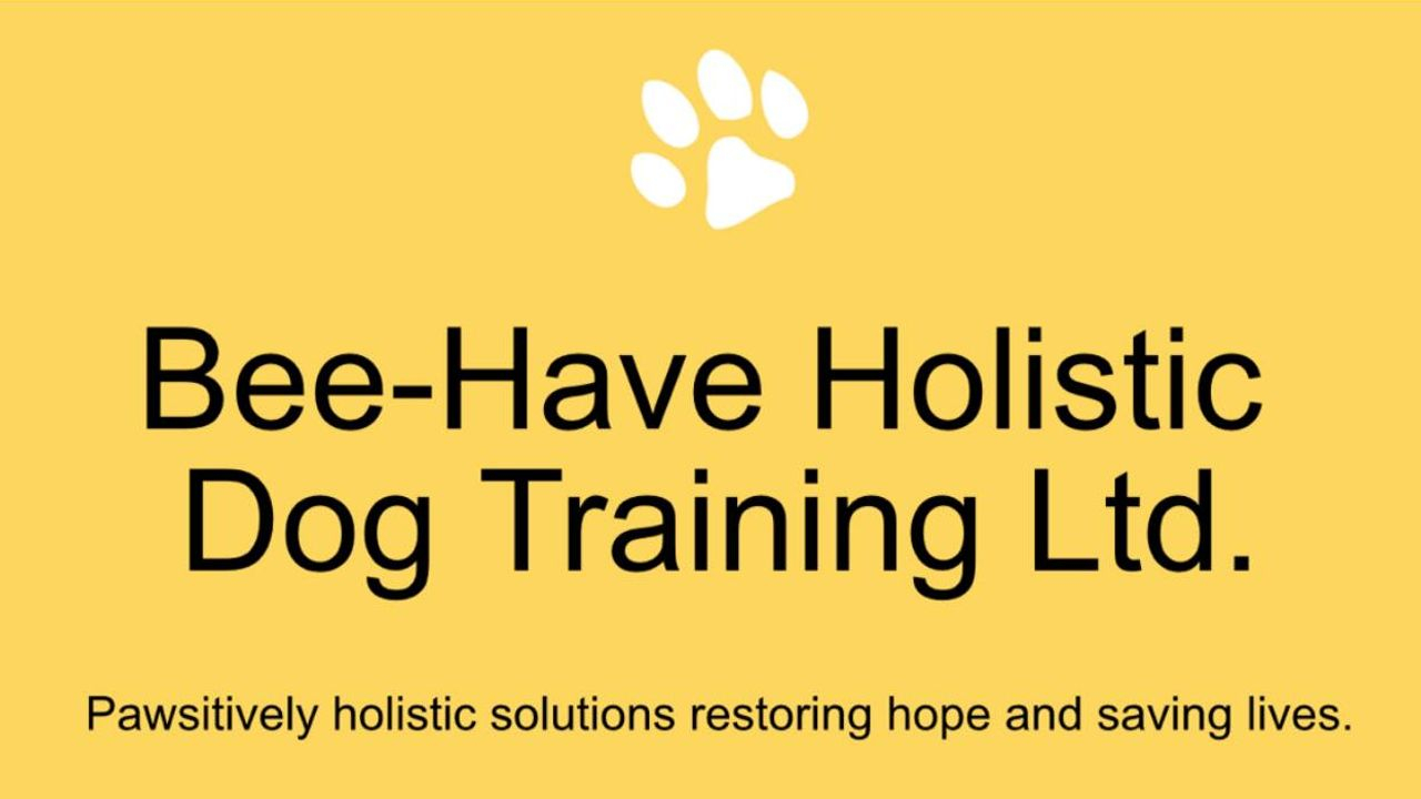 Bee-Have Holistic Dog Training