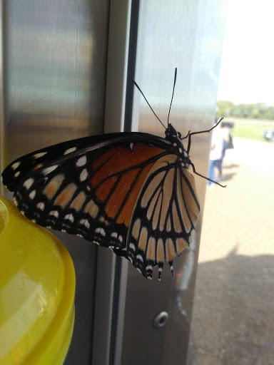 Insurance Company «Alexandria Mega Shelter», reviews and photos