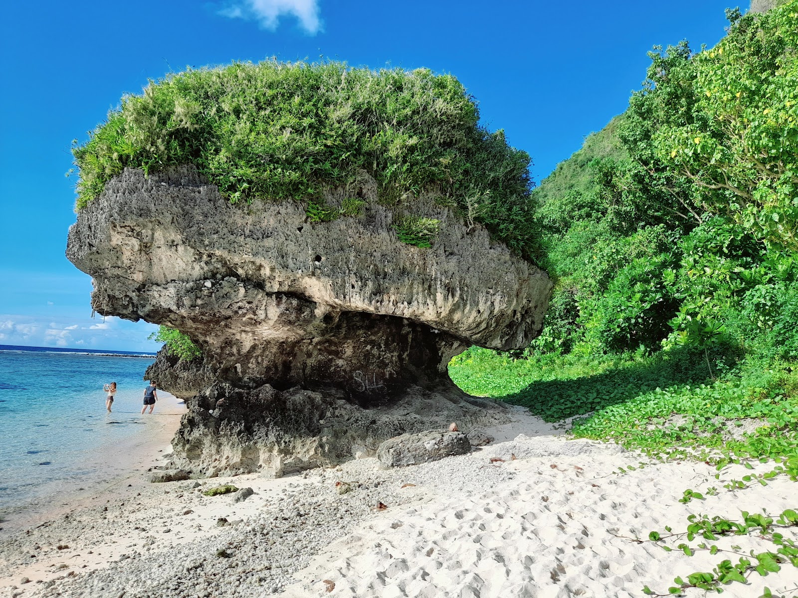 Foto von Mushroom Rock Beach umgeben von Bergen