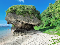 Foto von Mushroom Rock Beach umgeben von Bergen