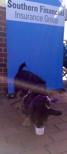 Insurance Agency «Southern Financial Insurance Group, LLC», reviews and photos