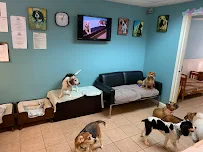 All Good Dogs - Car repair in Trenton, NJ, Trenton - Rated 4.6/5