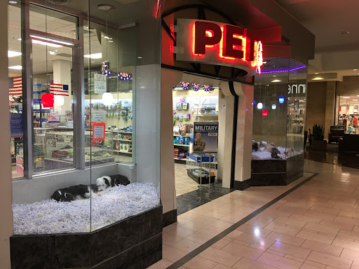 Pet Store «Pet City Pet Shops», reviews and photos, 750 Citadel Dr N # 2092, Colorado Springs, CO 80909, USA