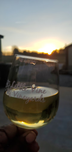 Winery «Little Vine Vineyards», reviews and photos, 665 N Hulett Rd, Villa Rica, GA 30180, USA