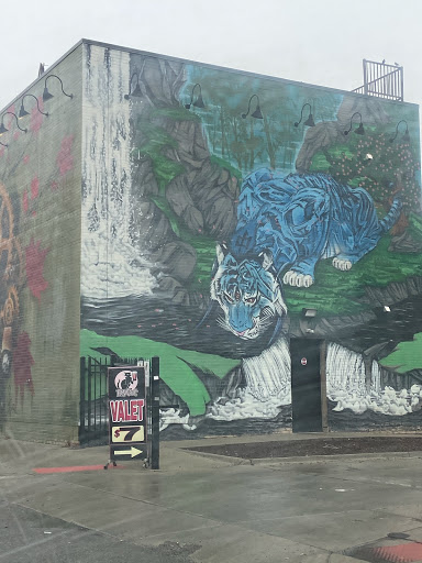 Book Store «Source Booksellers», reviews and photos, 4240 Cass Ave #105, Detroit, MI 48201, USA