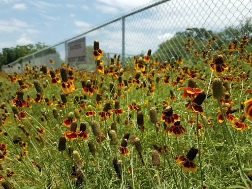 Park «Raymond Rimkus Park», reviews and photos, 6440 Evers Rd, Leon Valley, TX 78238, USA