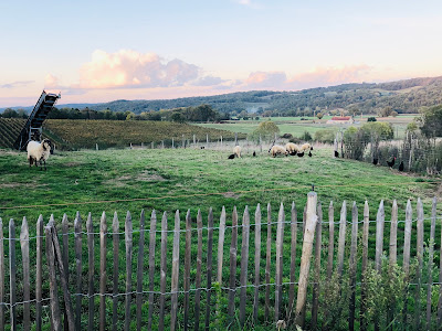 La Ferme Pèle à Monpezat