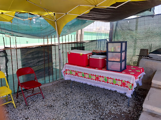 site_photo3