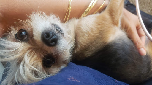 Park «Rainbow Family Park», reviews and photos, 7151 W Oakey Blvd, Las Vegas, NV 89117, USA